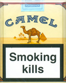 Camel Non Filter Cigarettes Camel Non Filter Cigarettes